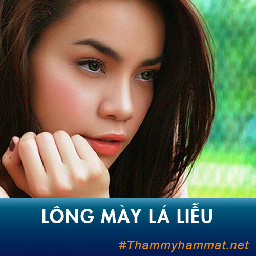 Hình dáng lông mày lá liễu như thế nào? Chân mày lá liễu nói lên điều gì?