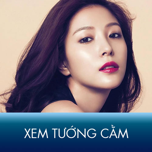 Xem tướng cằm Đàn ông, Phụ nữ – Đoán biết vận số Phú Quý hay Xui Xẻo